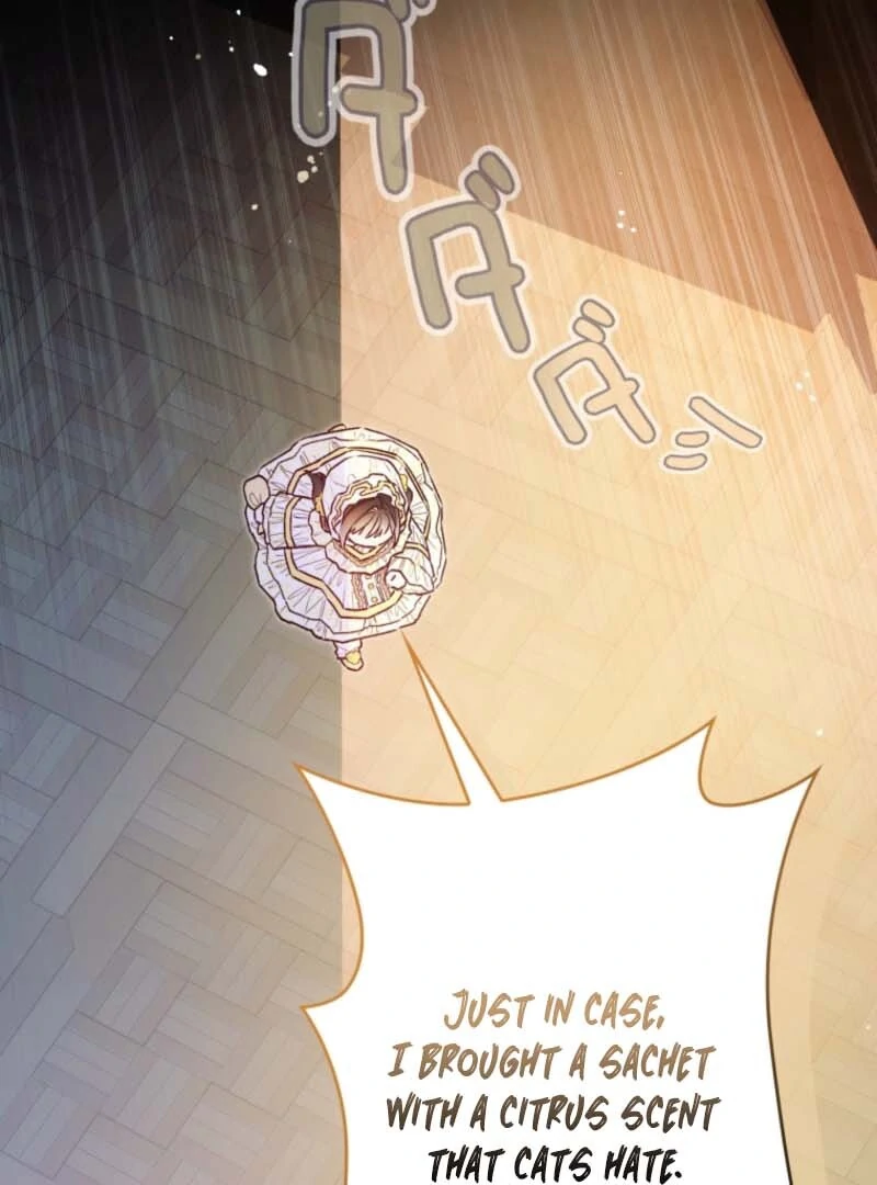 I Will Not be Overshadowed by my Twin Sister in This Life Chapter 7 495 114