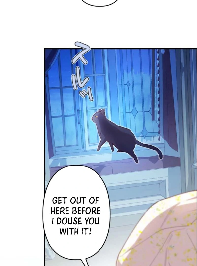 I Will Not be Overshadowed by my Twin Sister in This Life Chapter 7 498 117