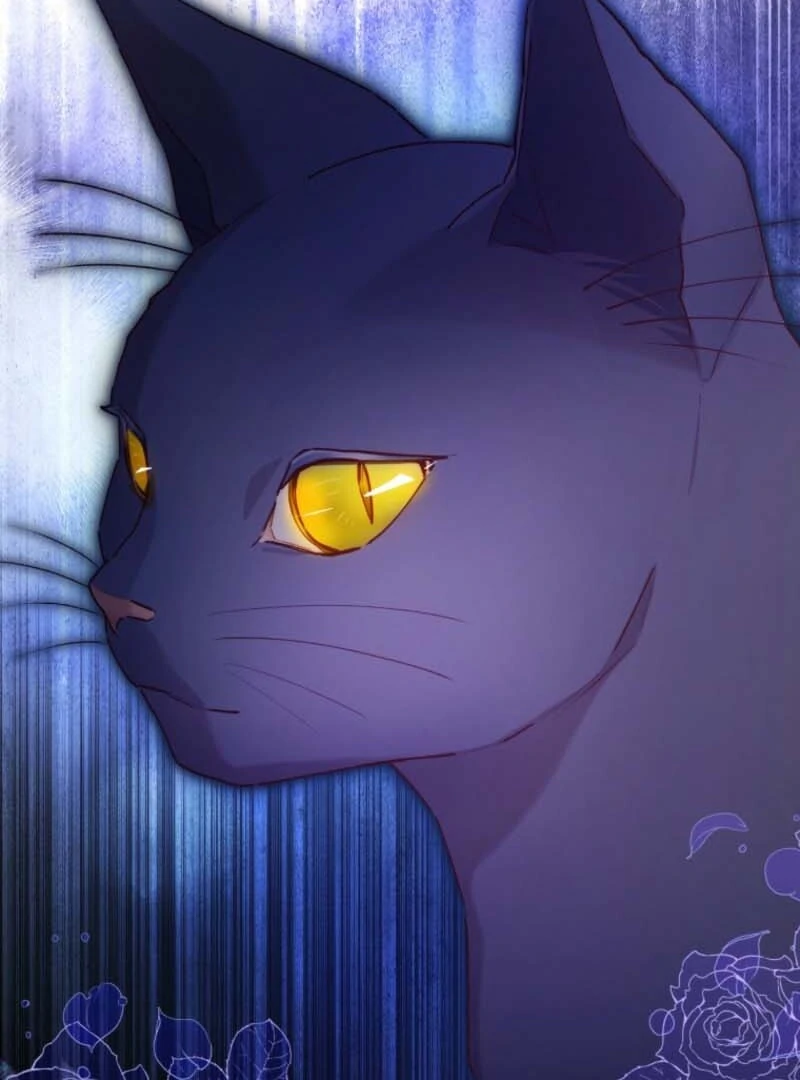 I Will Not be Overshadowed by my Twin Sister in This Life Chapter 7 504 123