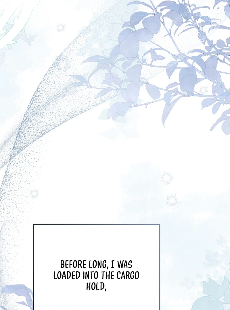 I Will Pay the Price for Deceiving You With My Life Chapter 16 373 ch 16 3