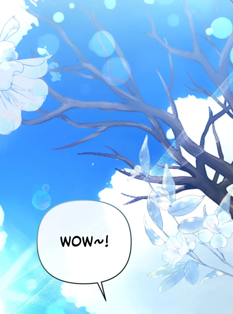 I Will Pay the Price for Deceiving You With My Life Chapter 16 425 ch 16 55