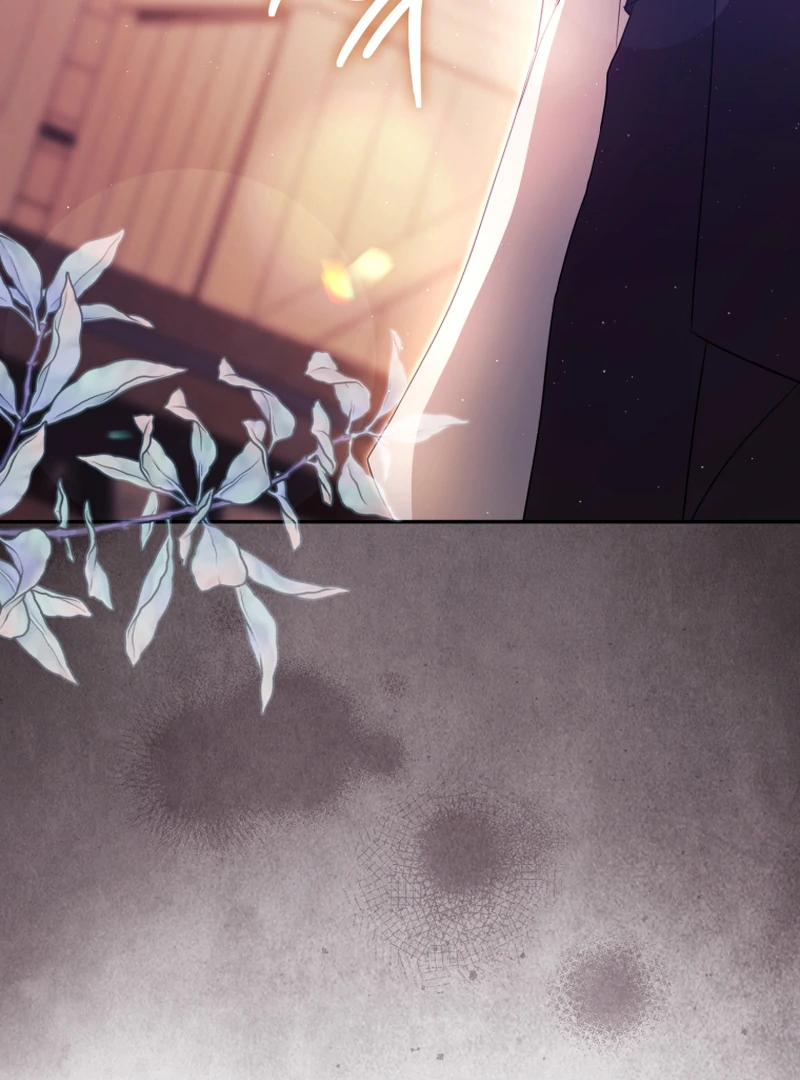 I Will Pay the Price for Deceiving You With My Life Chapter 16 377 ch 16 7