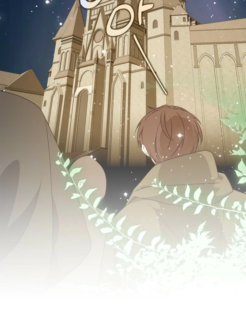 I will try to seduce the male lead for my brother Chapter 100 378 005