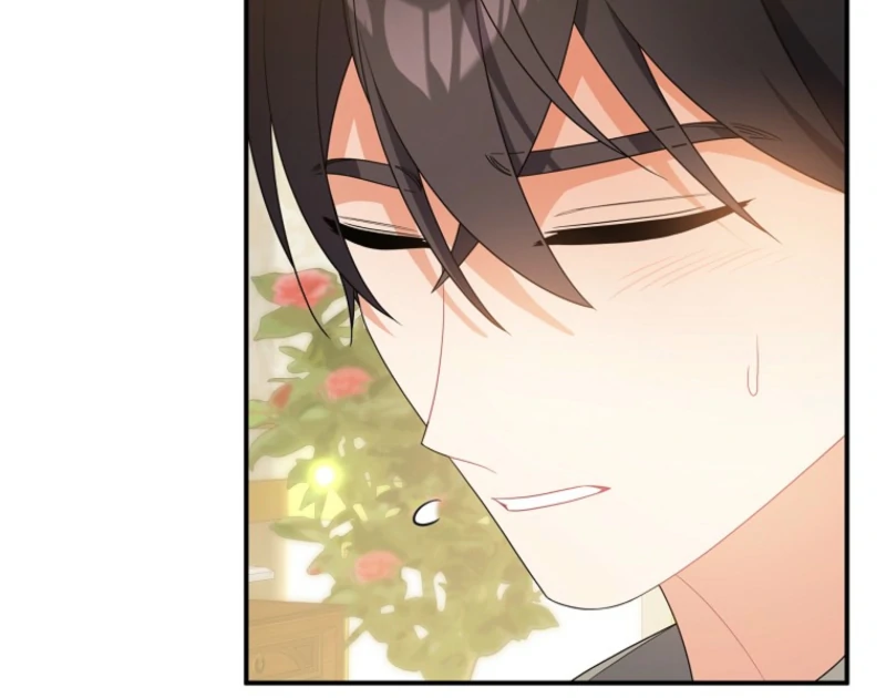 I will try to seduce the male lead for my brother Chapter 100 411 038