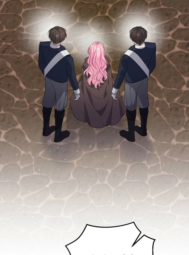 I will try to seduce the male lead for my brother Chapter 94 320 22