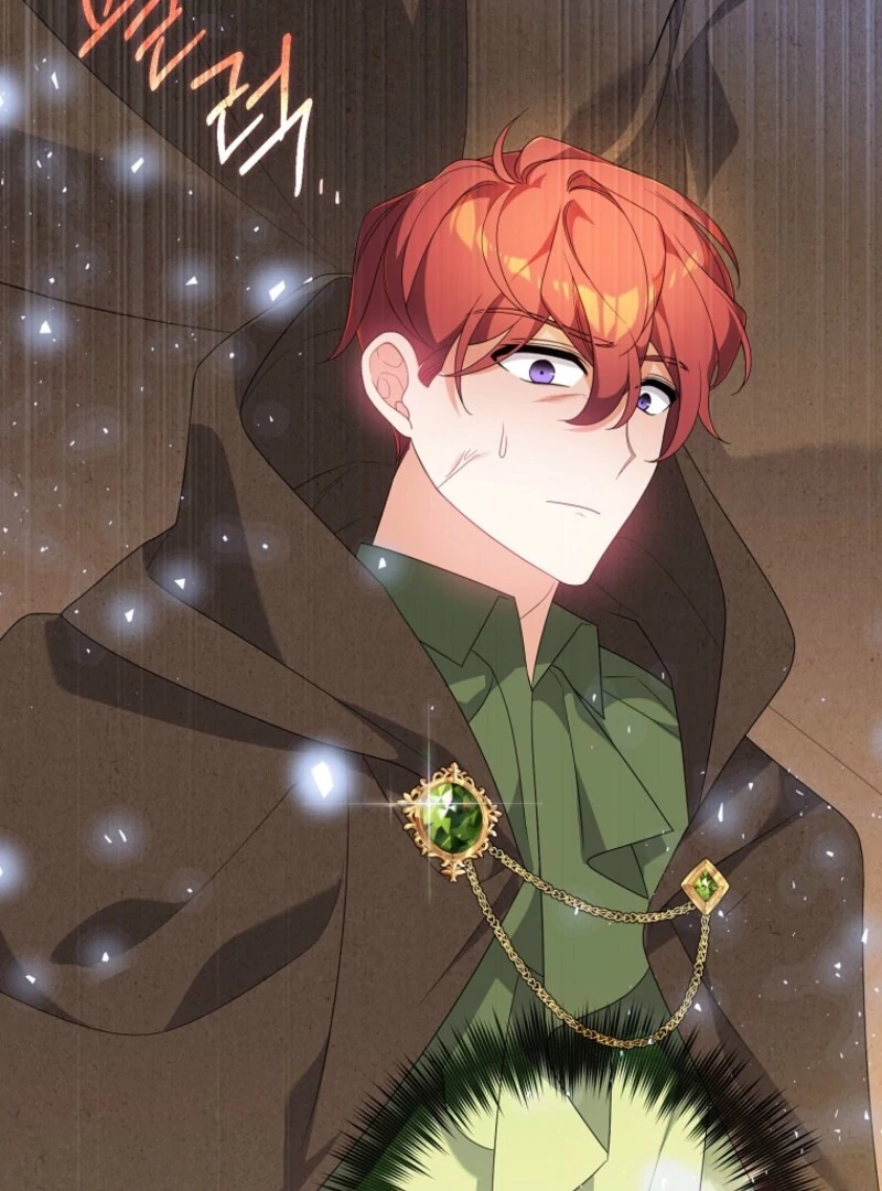 I will try to seduce the male lead for my brother Chapter 94 345 47