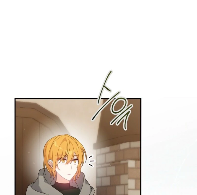 I will try to seduce the male lead for my brother Chapter 94 379 81