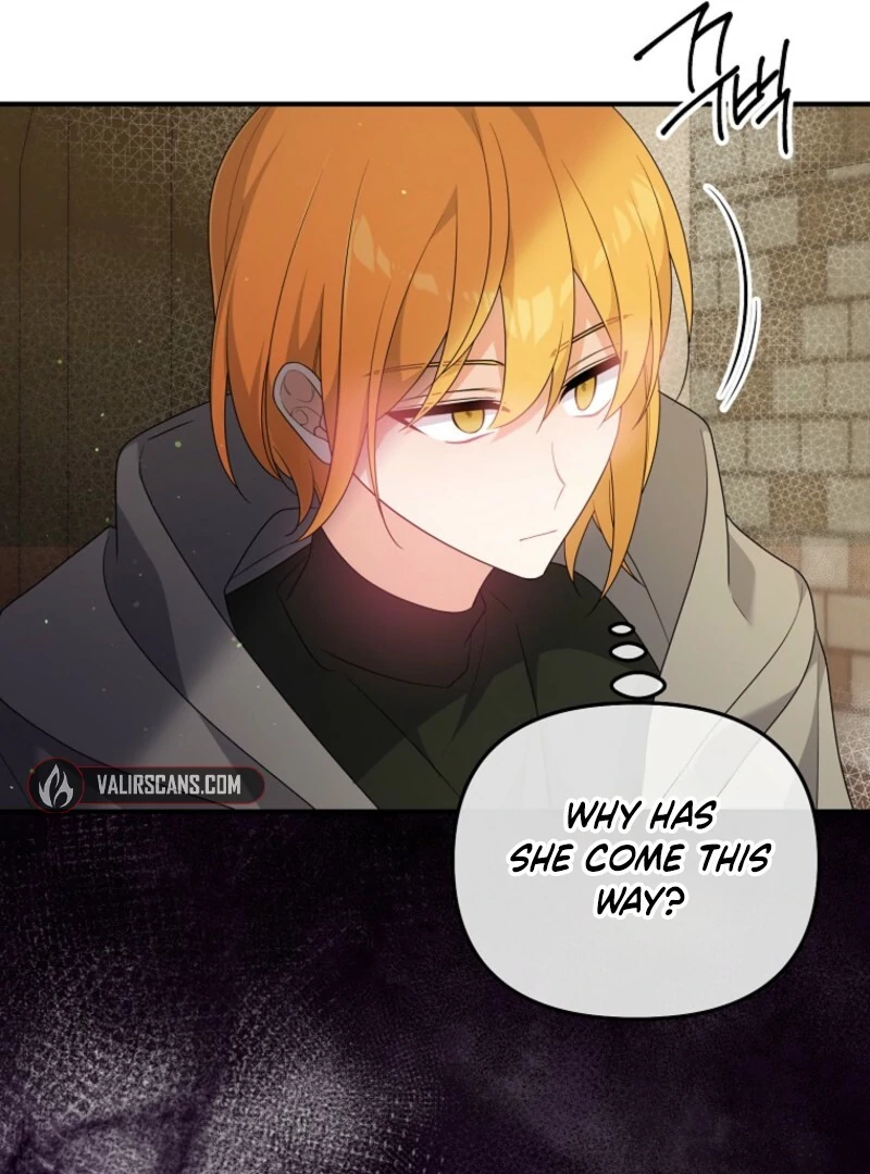 I will try to seduce the male lead for my brother Chapter 94 381 83