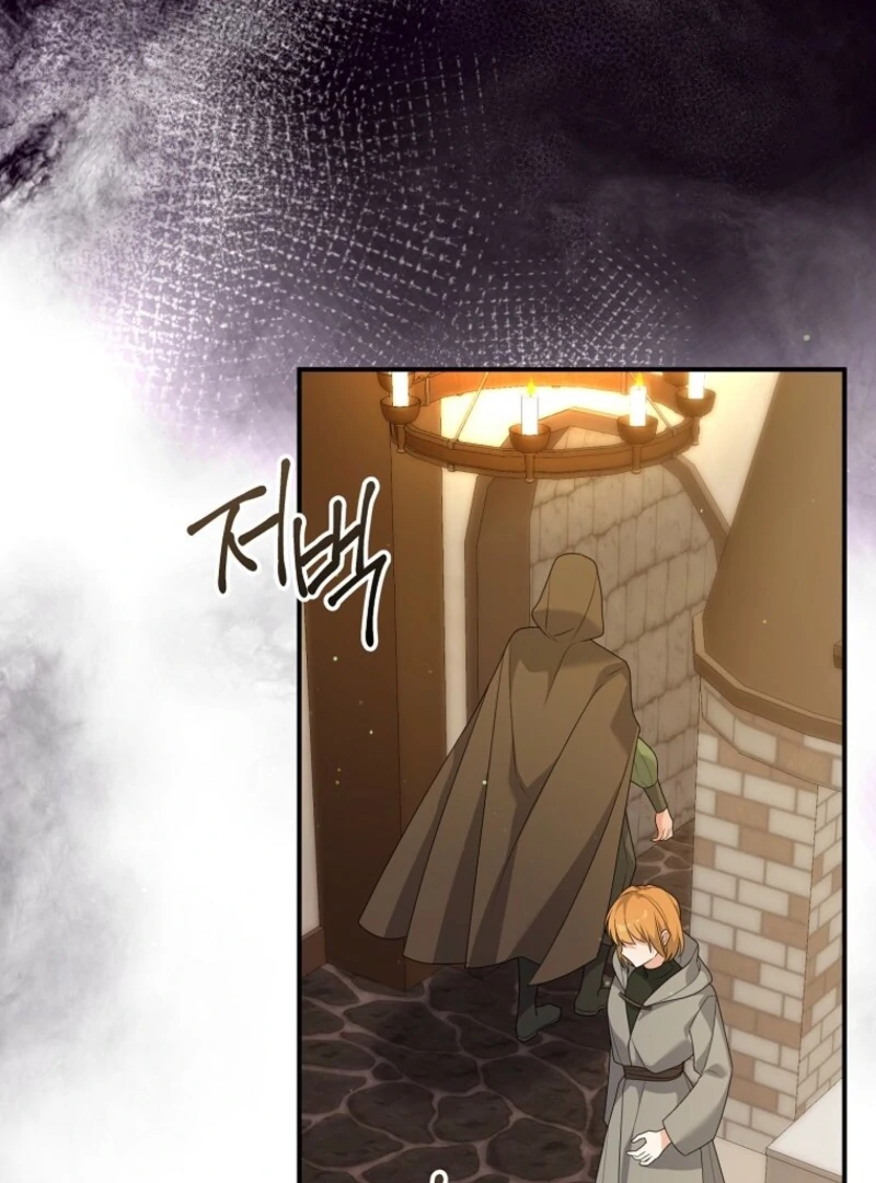 I will try to seduce the male lead for my brother Chapter 94 382 84