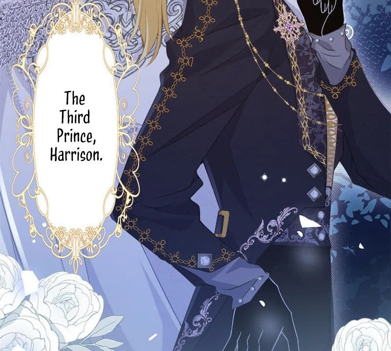 I wish to annul the engagement Chapter 7 241 ch 7 36