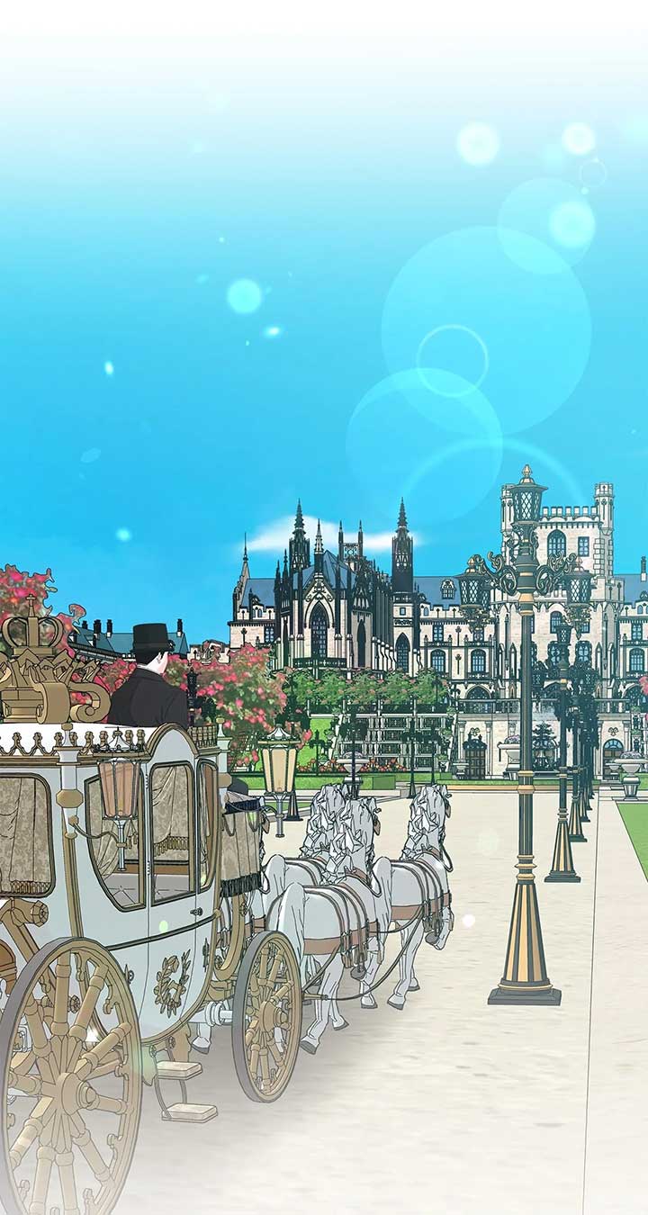 I Won’t Go Back to My Family Who Abandoned Me Chapter 84 280 ch 84 33