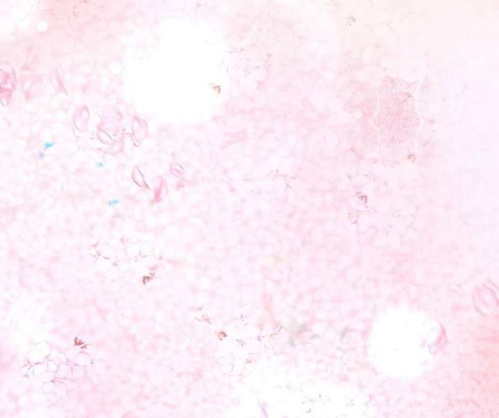 I Won’t Regret My Second Life, The Happy Ending Comes After Revenge Chapter 23 725 118