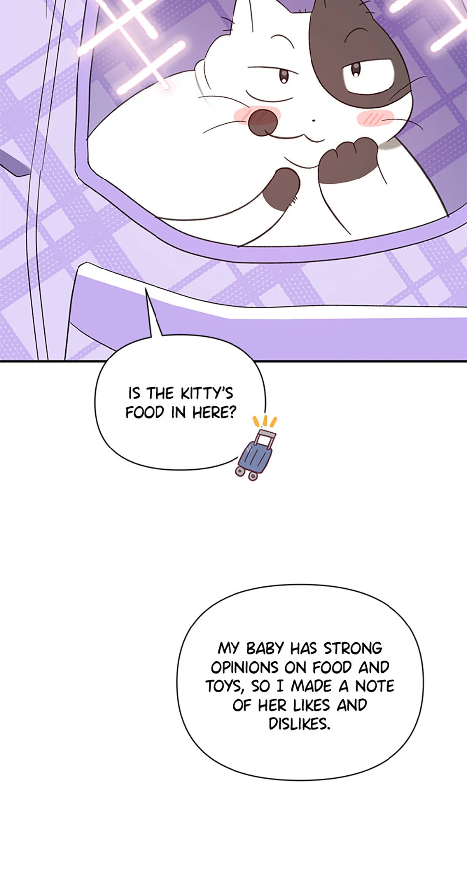 Ideal Match Delivery Service Chapter 70 263 37