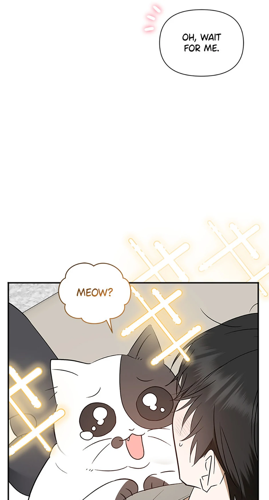 Ideal Match Delivery Service Chapter 70 285 59