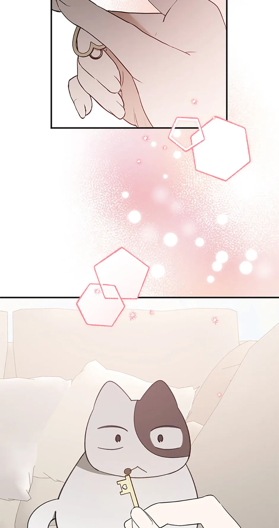 Ideal Match Delivery Service Chapter 72 331 006