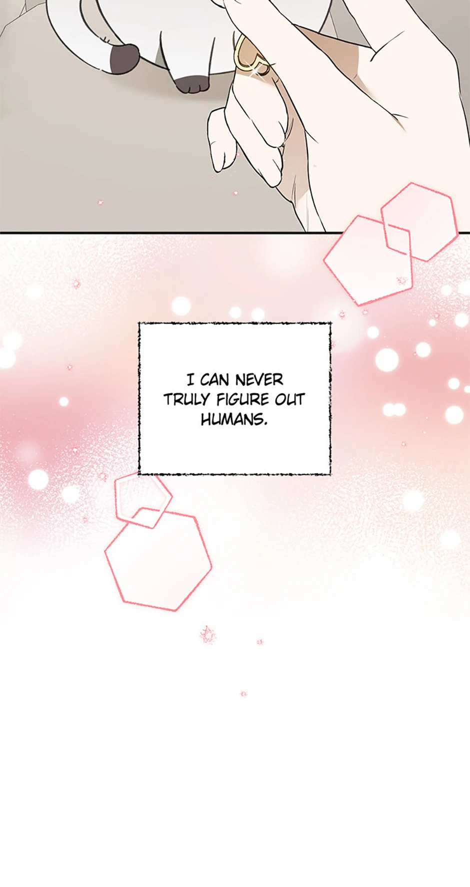 Ideal Match Delivery Service Chapter 72 332 007