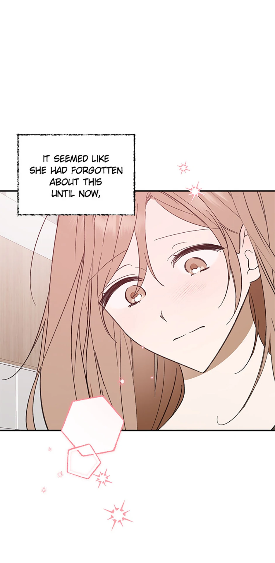 Ideal Match Delivery Service Chapter 72 333 008