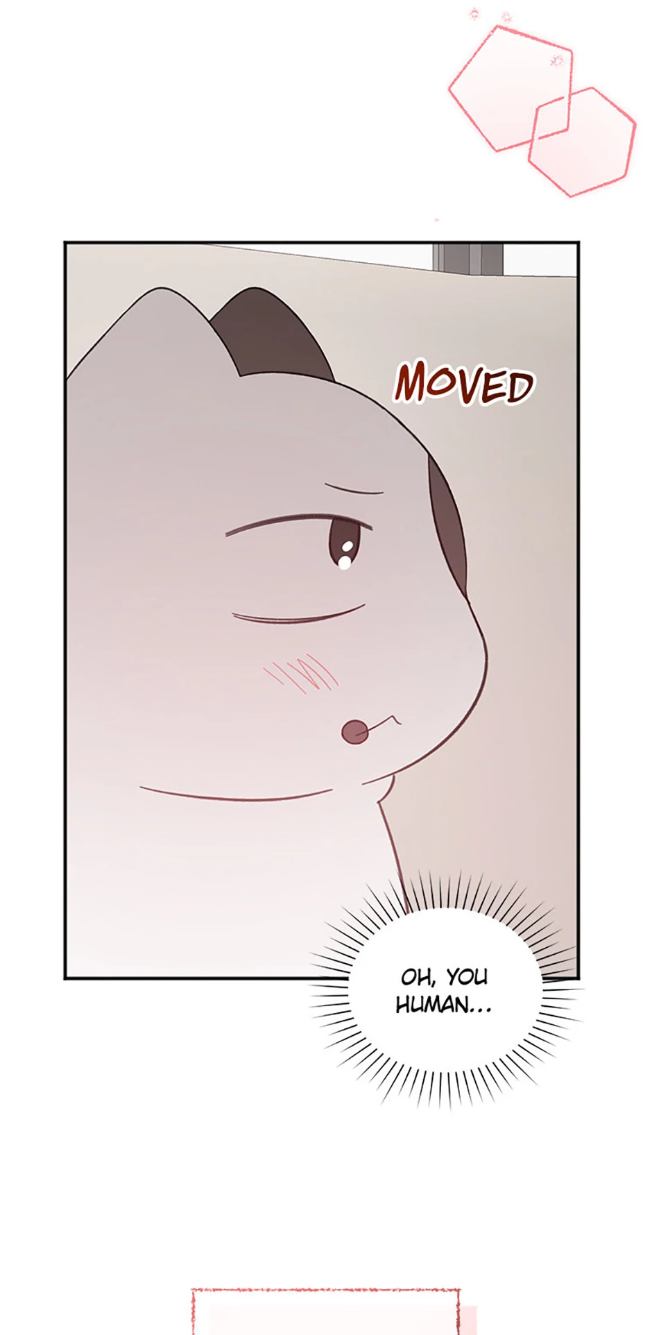 Ideal Match Delivery Service Chapter 72 334 009