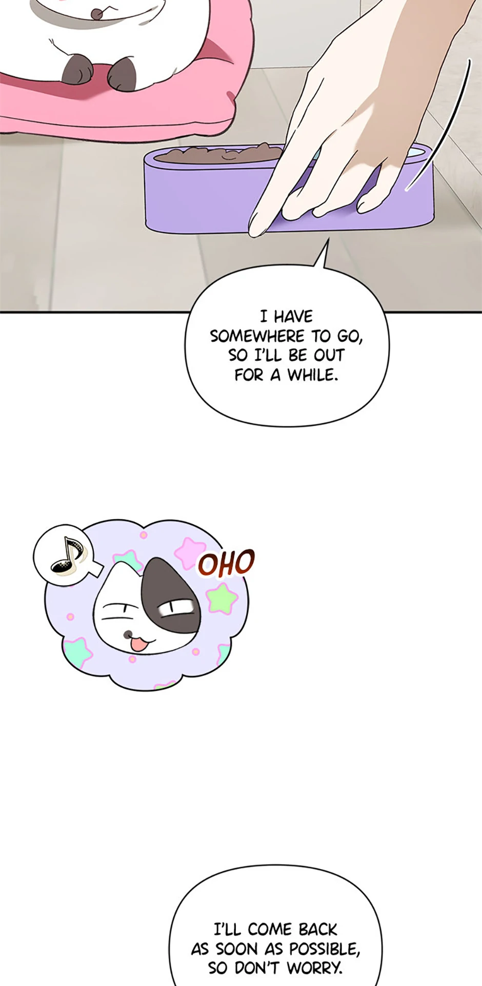 Ideal Match Delivery Service Chapter 72 338 013