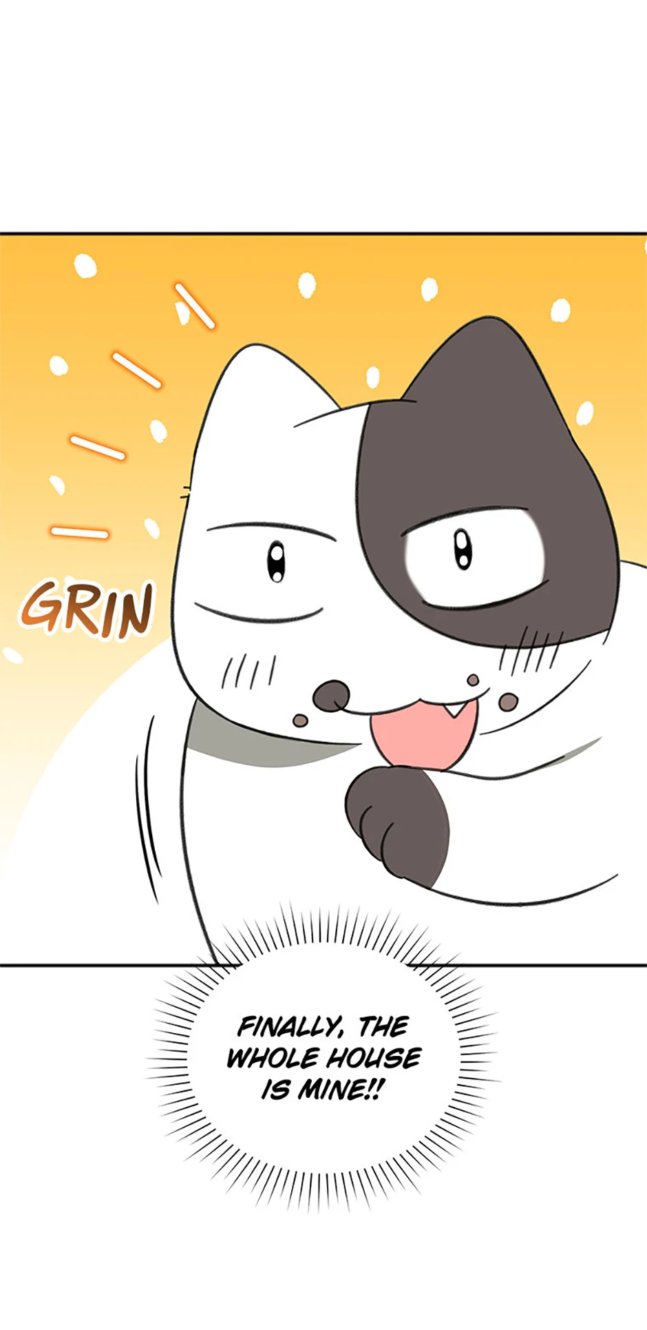 Ideal Match Delivery Service Chapter 72 342 017