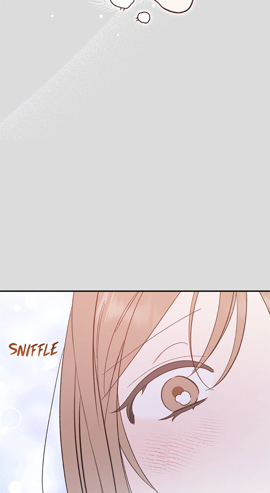 Ideal Match Delivery Service Chapter 72 352 027