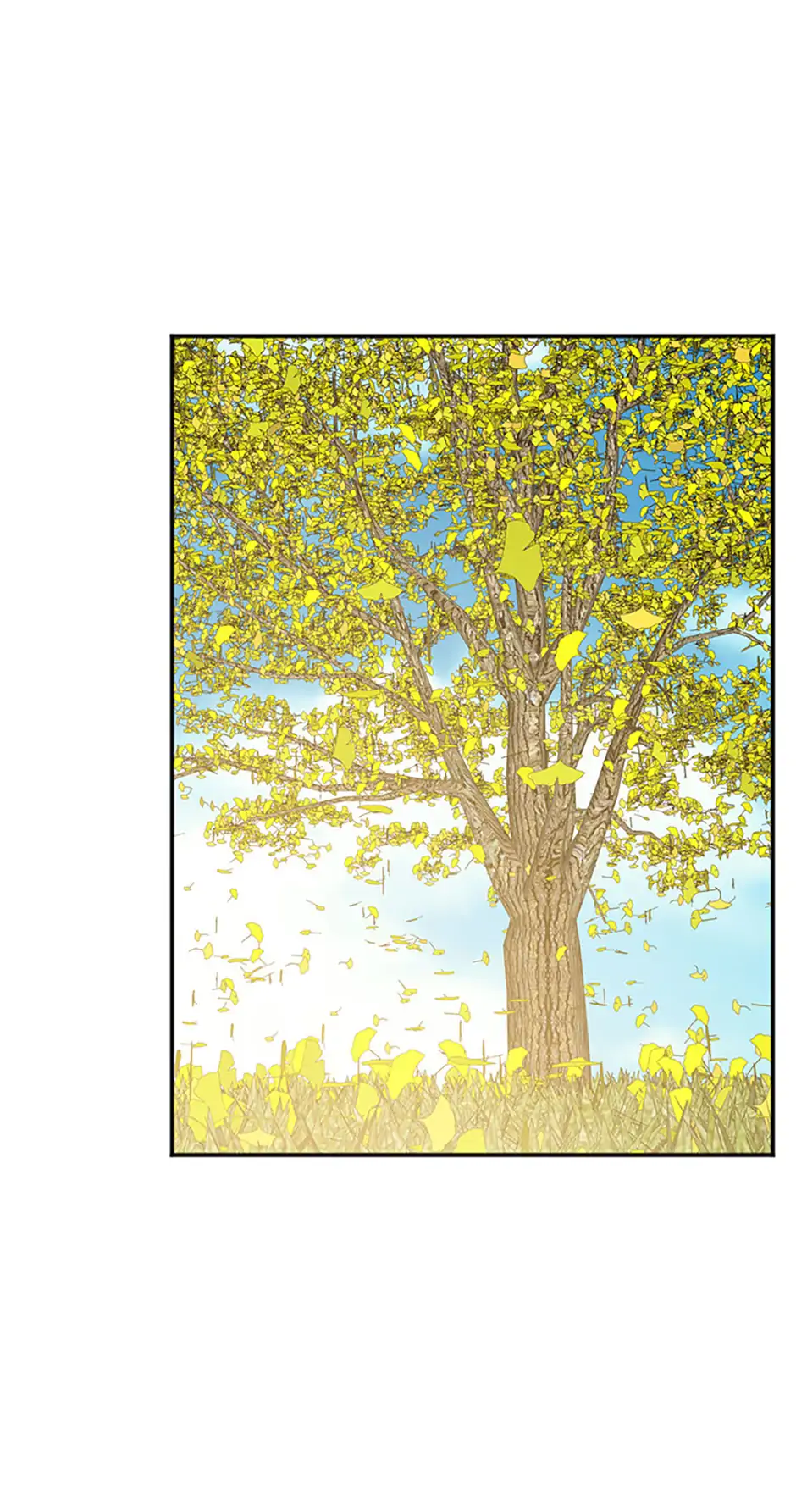 Ideal Match Delivery Service Chapter 72 356 031