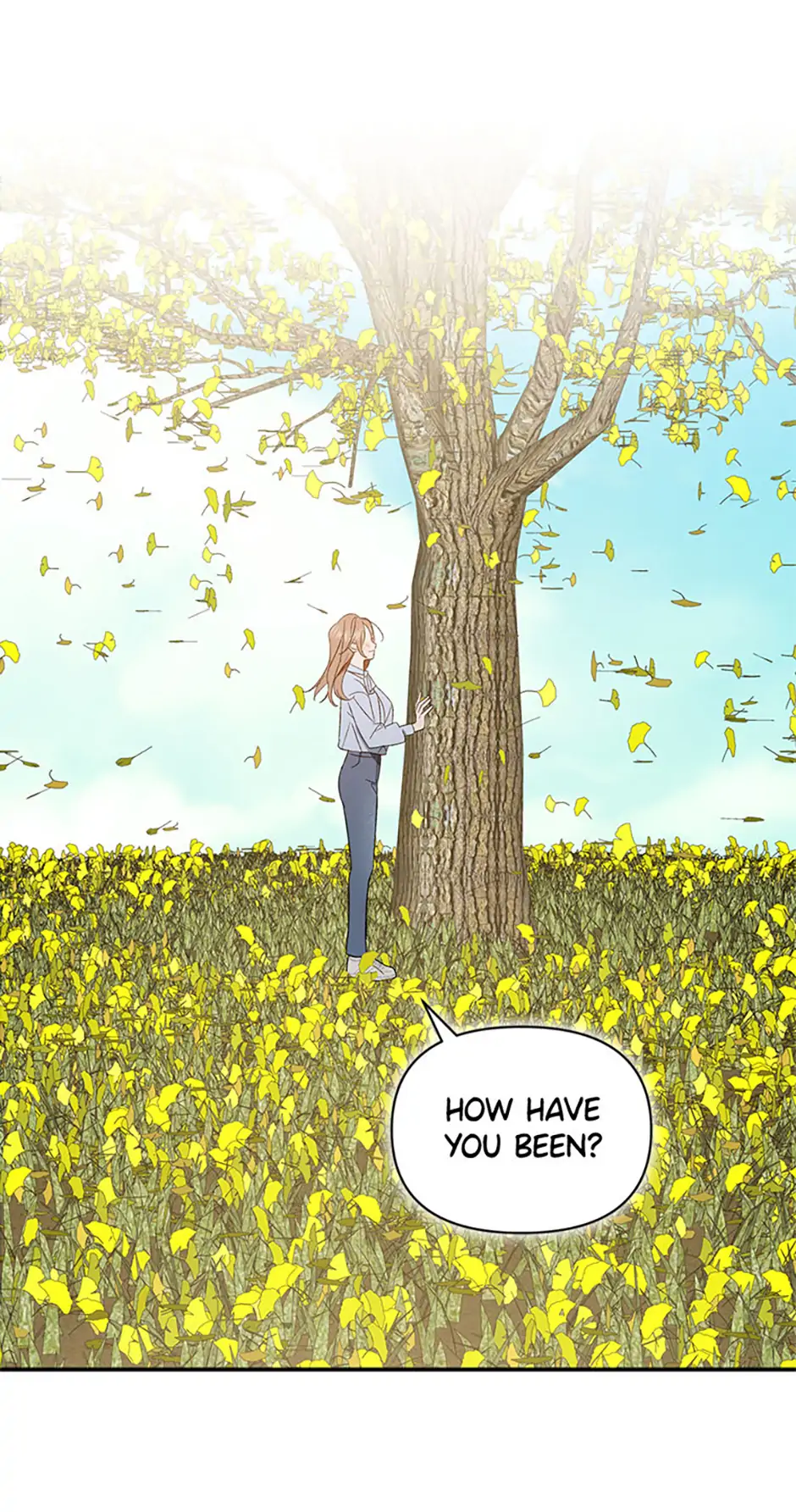 Ideal Match Delivery Service Chapter 72 357 032