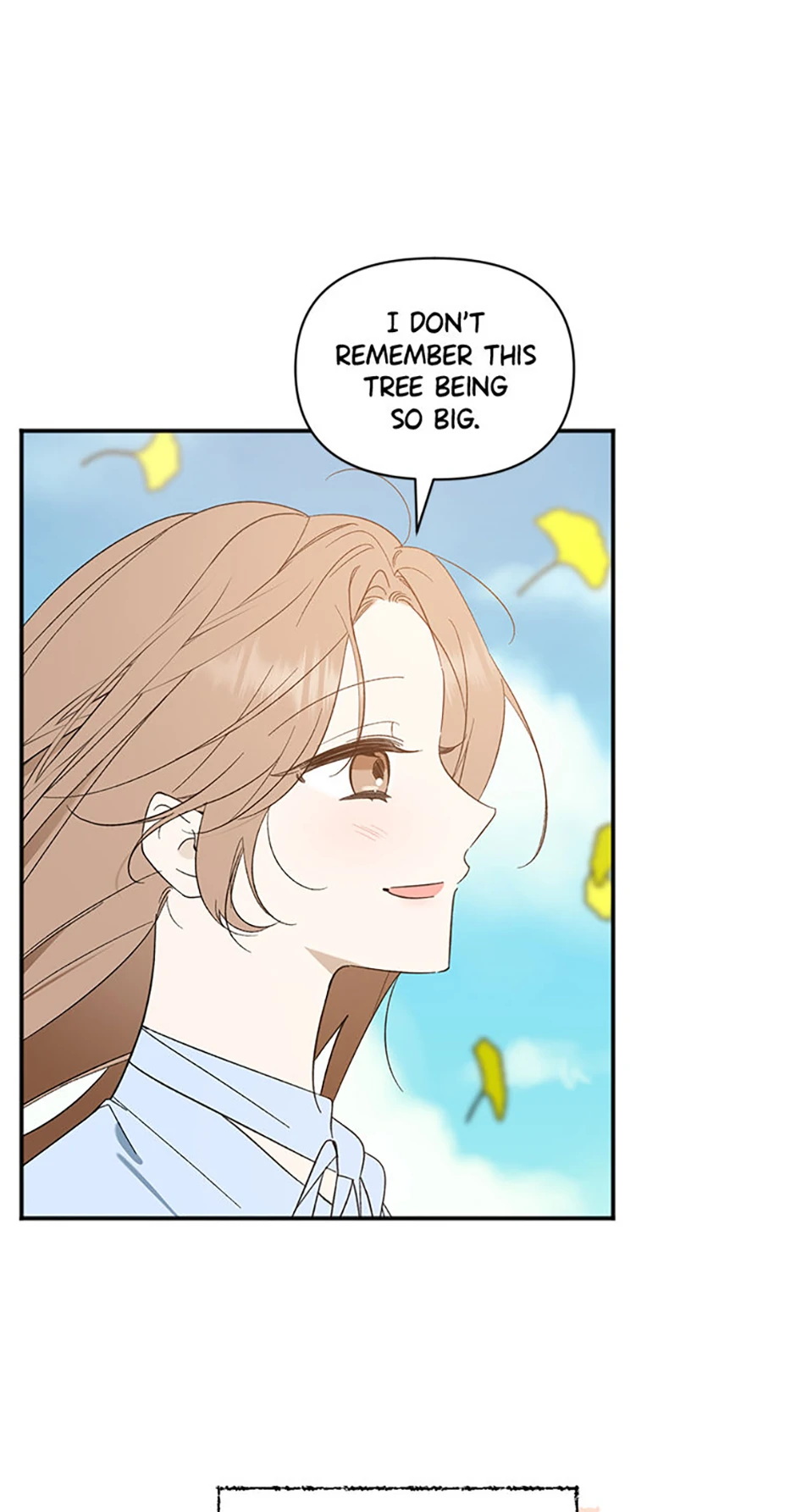 Ideal Match Delivery Service Chapter 72 358 033