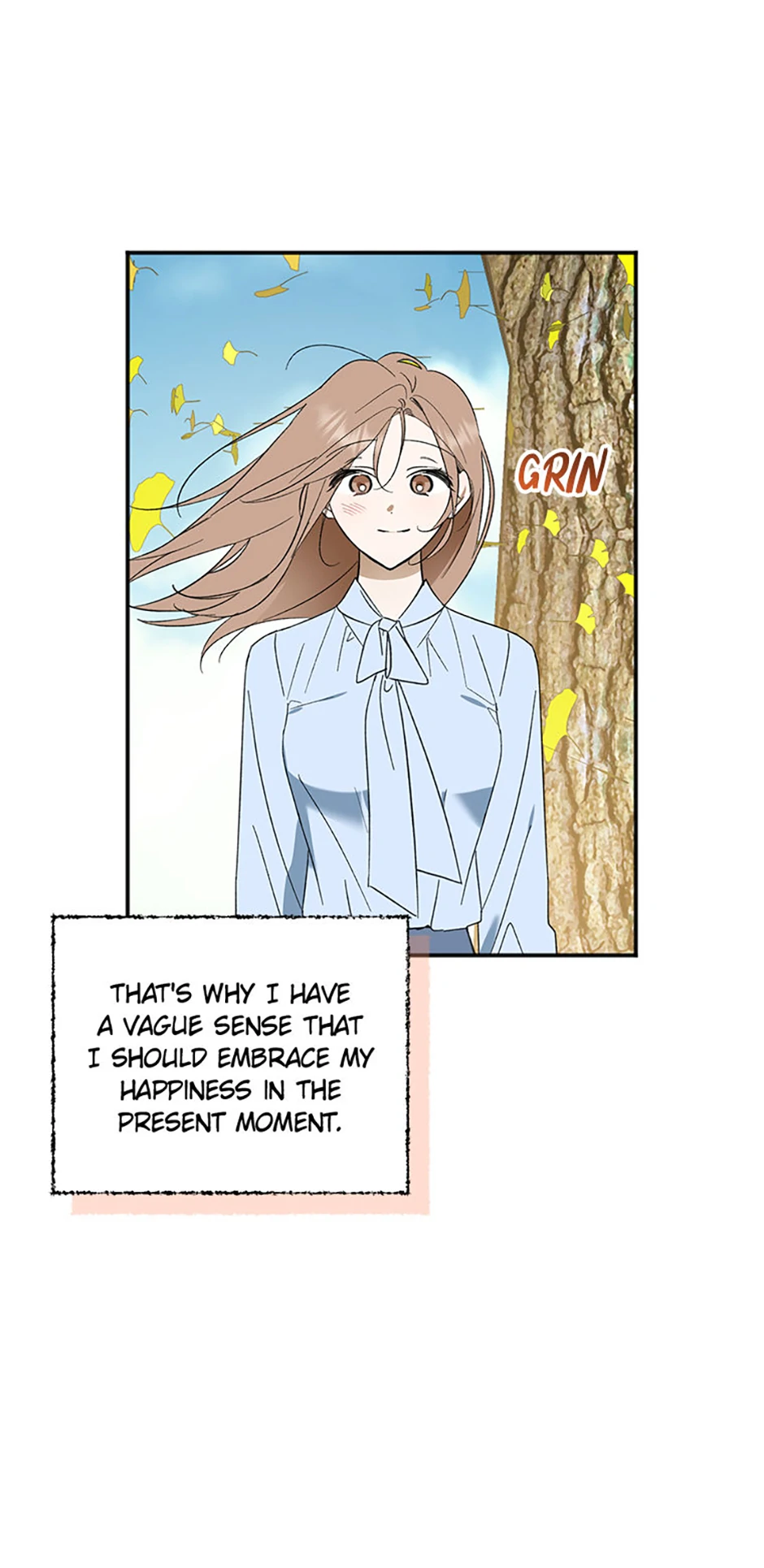 Ideal Match Delivery Service Chapter 72 361 036