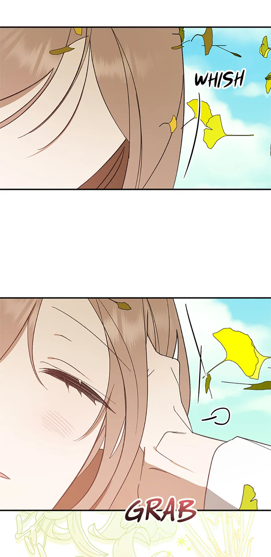 Ideal Match Delivery Service Chapter 72 364 039