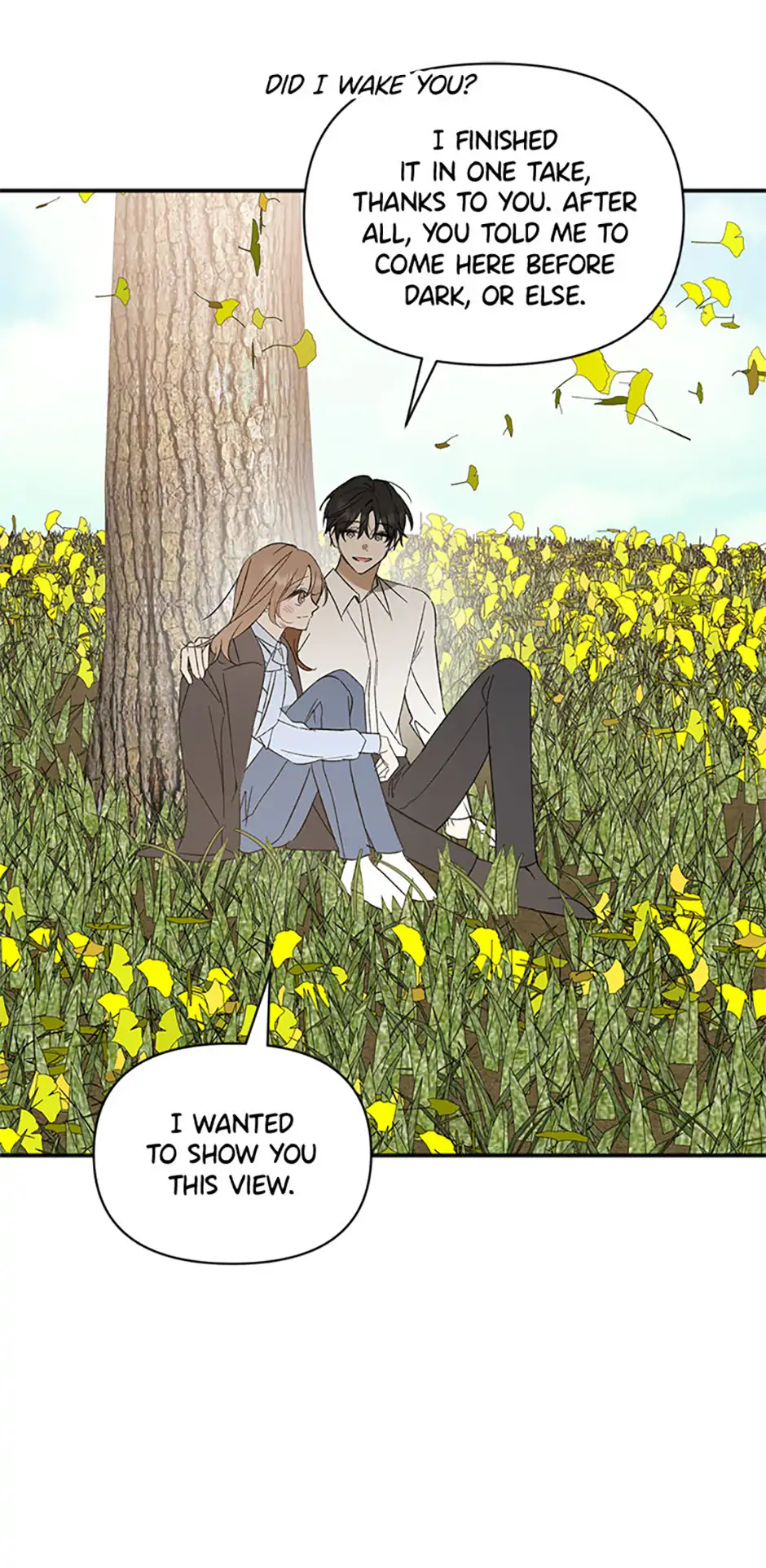 Ideal Match Delivery Service Chapter 72 367 042