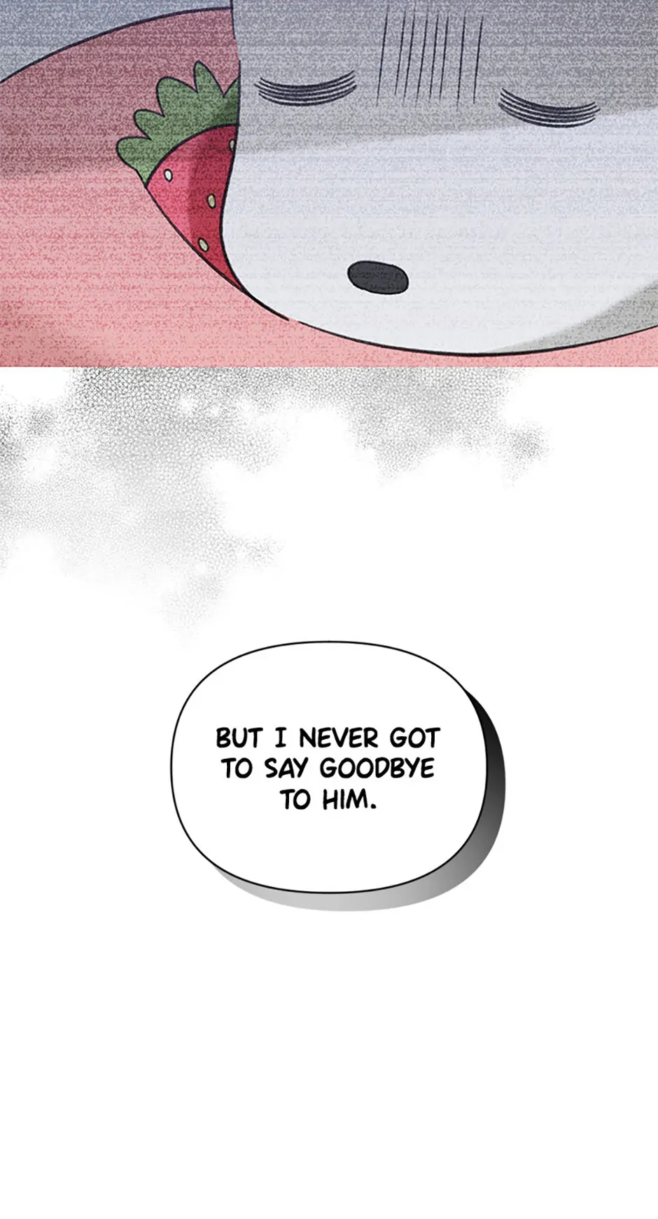 Ideal Match Delivery Service Chapter 72 373 048