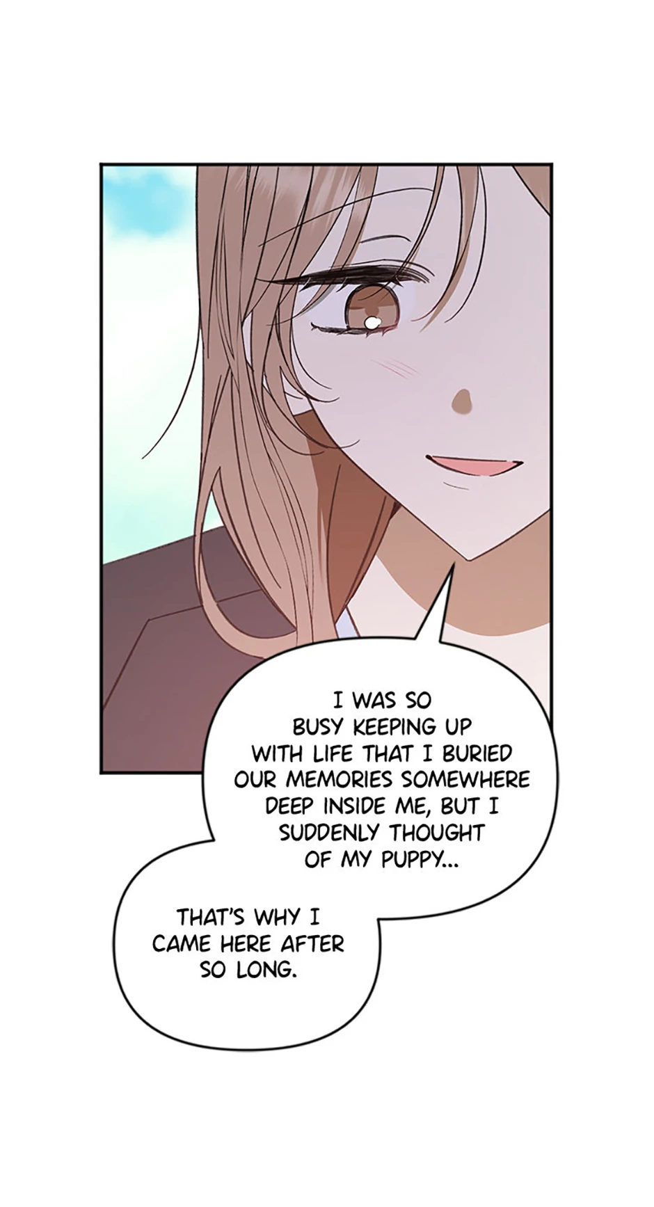 Ideal Match Delivery Service Chapter 72 374 049