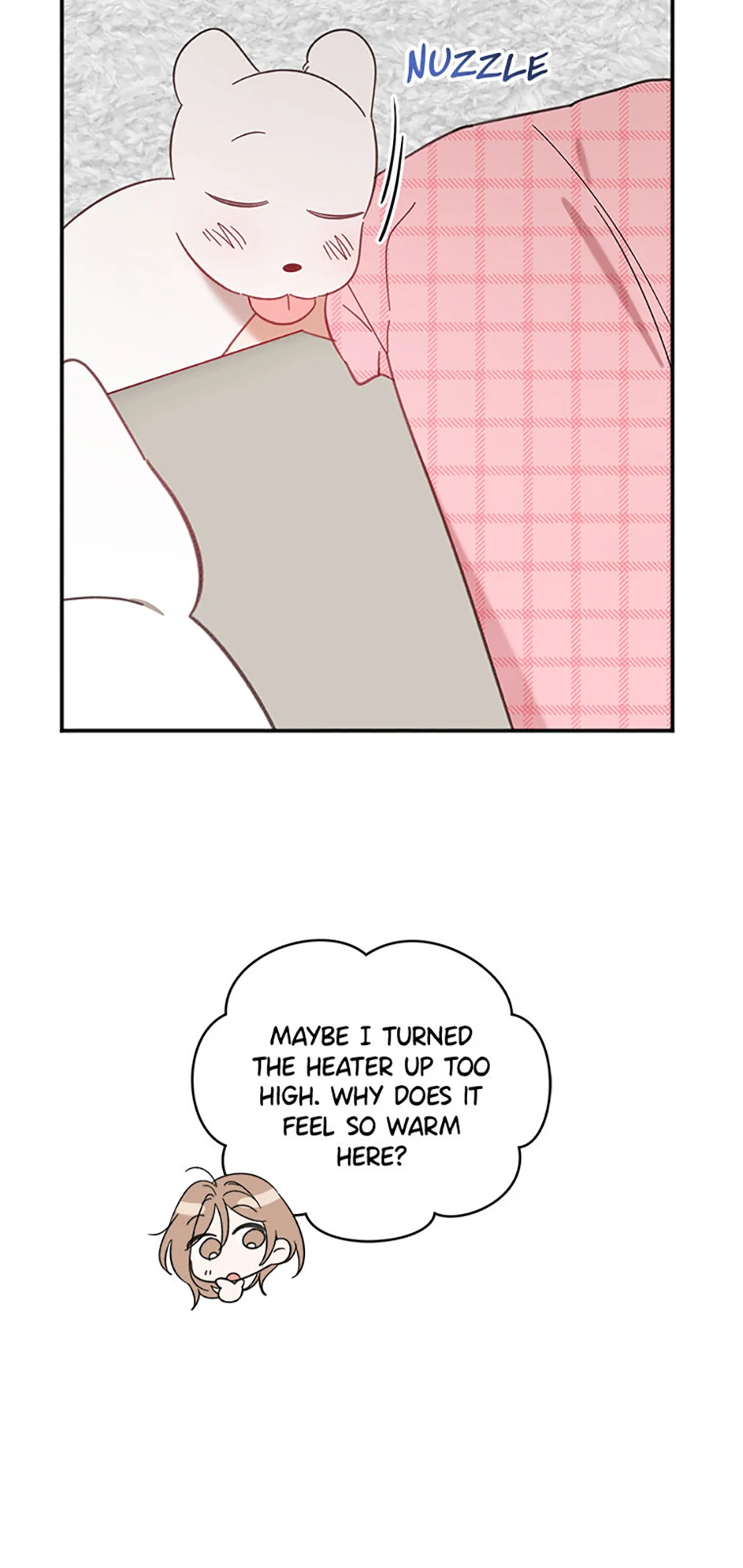 Ideal Match Delivery Service Chapter 72 388 063