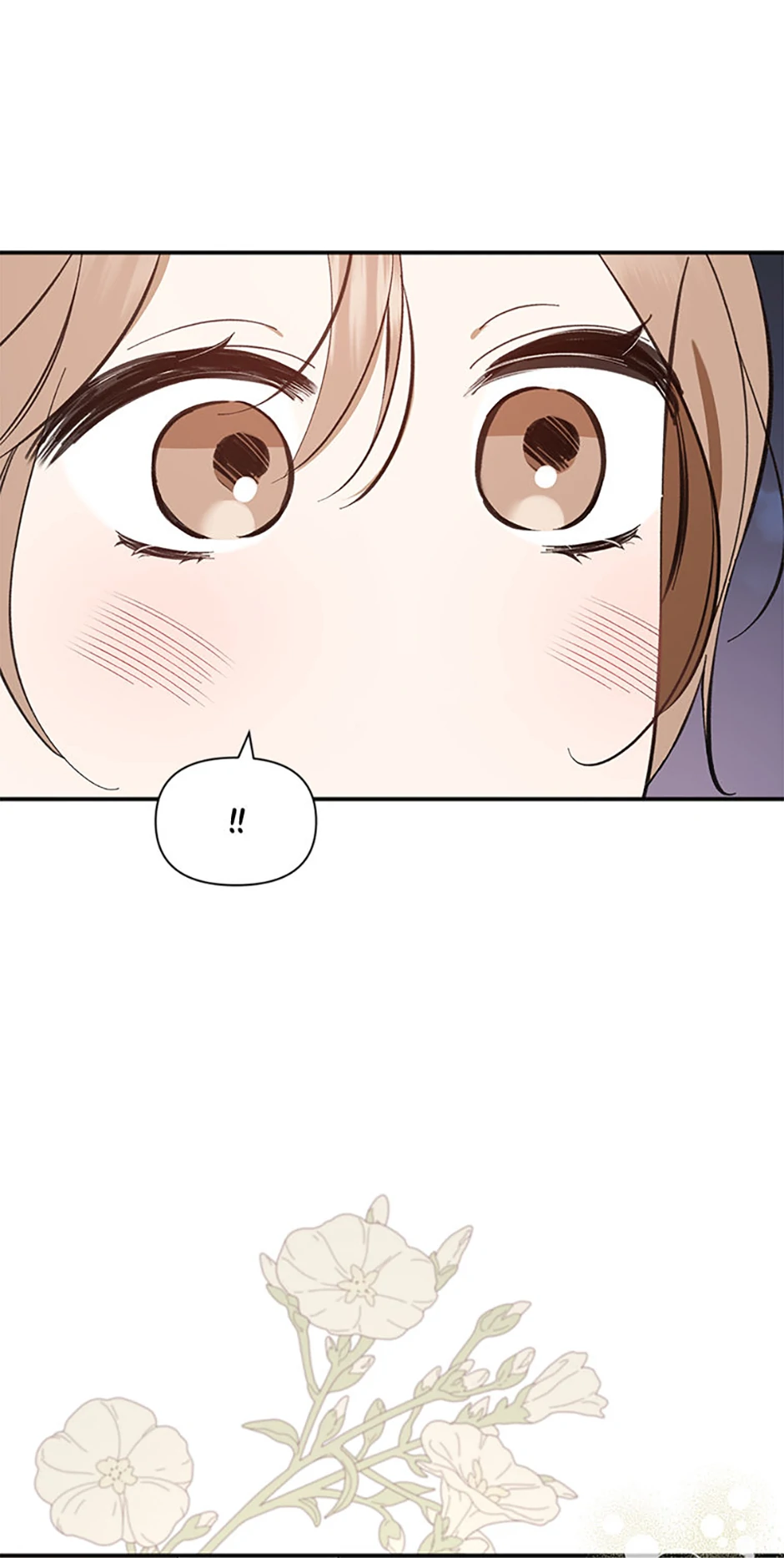 Ideal Match Delivery Service Chapter 72 390 065