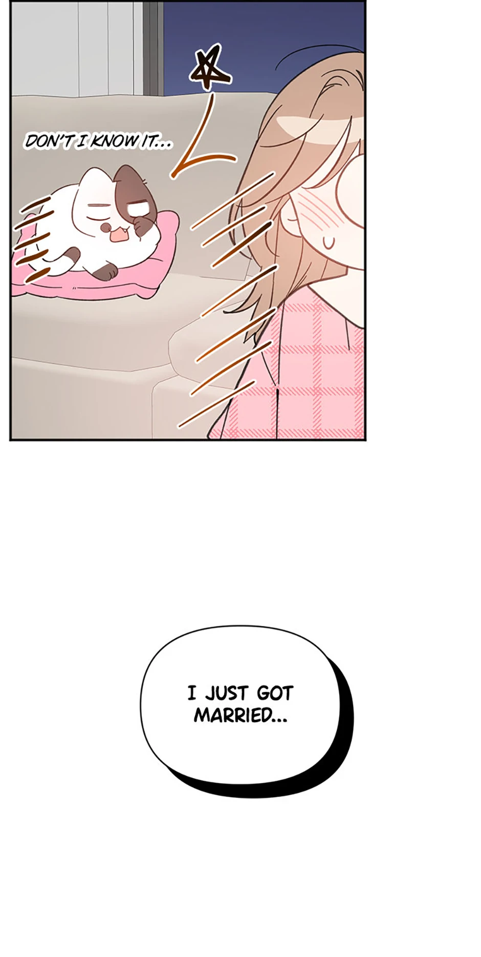 Ideal Match Delivery Service Chapter 72 392 067