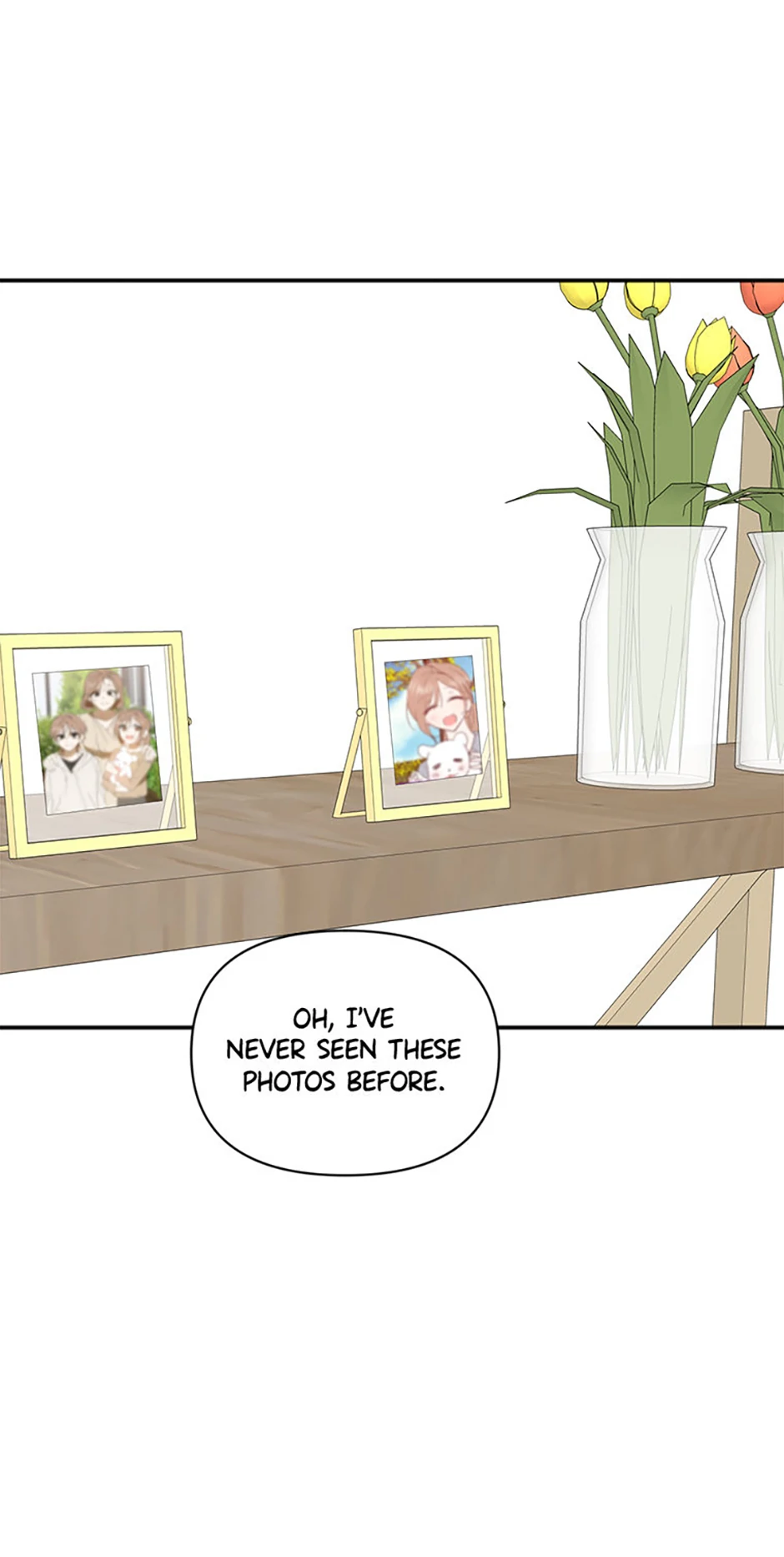 Ideal Match Delivery Service Chapter 72 395 070