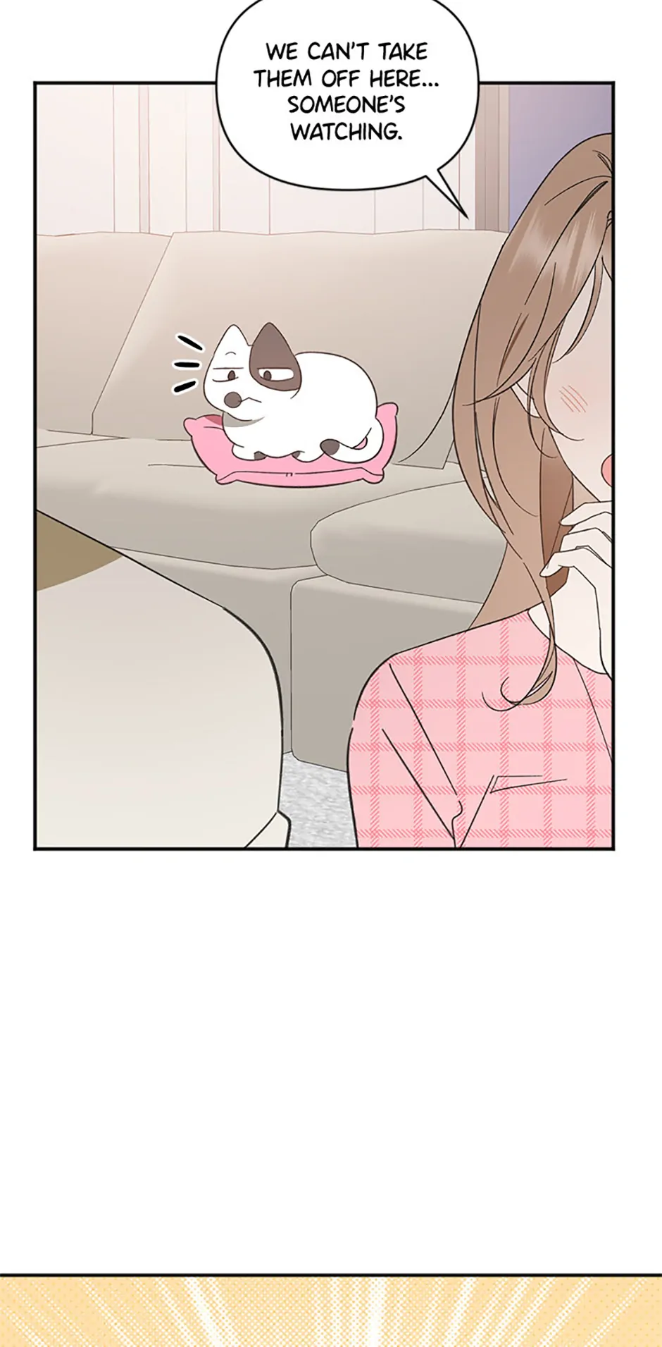 Ideal Match Delivery Service Chapter 72 405 080