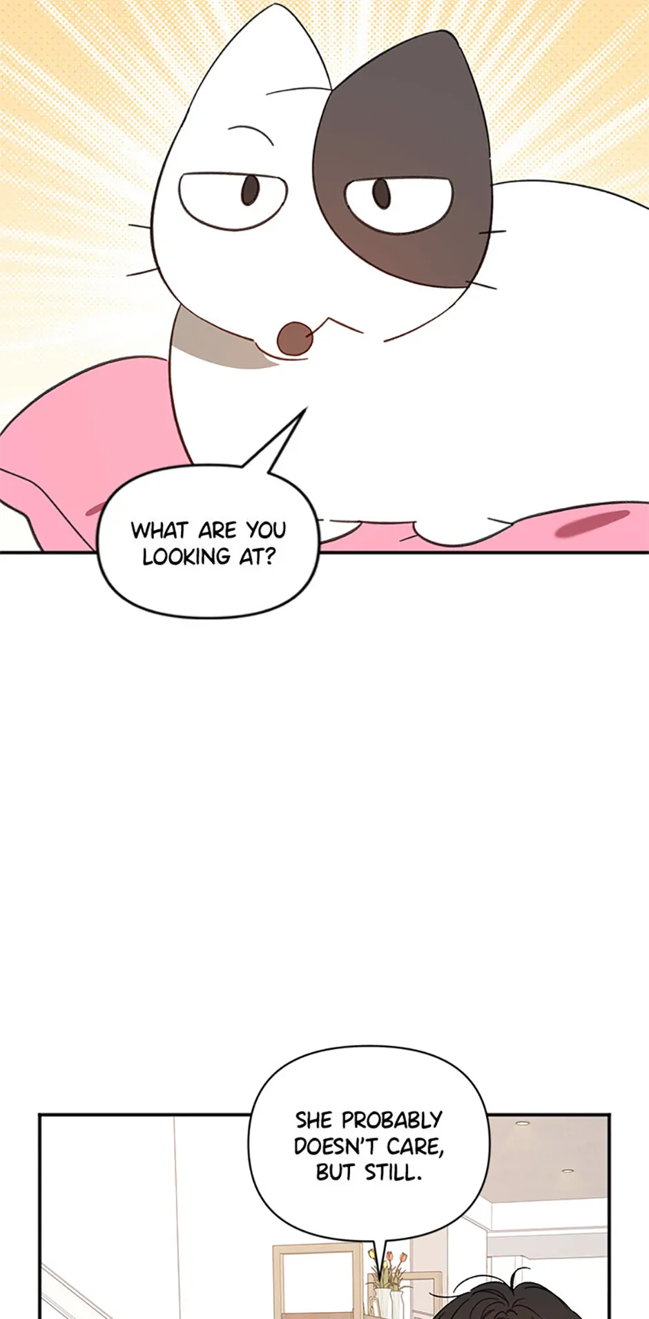 Ideal Match Delivery Service Chapter 72 406 081