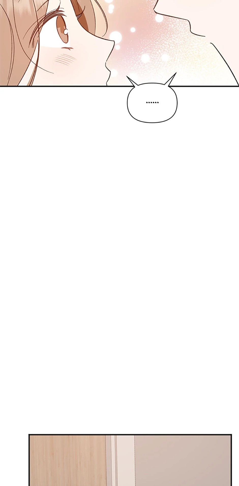 Ideal Match Delivery Service Chapter 72 408 083