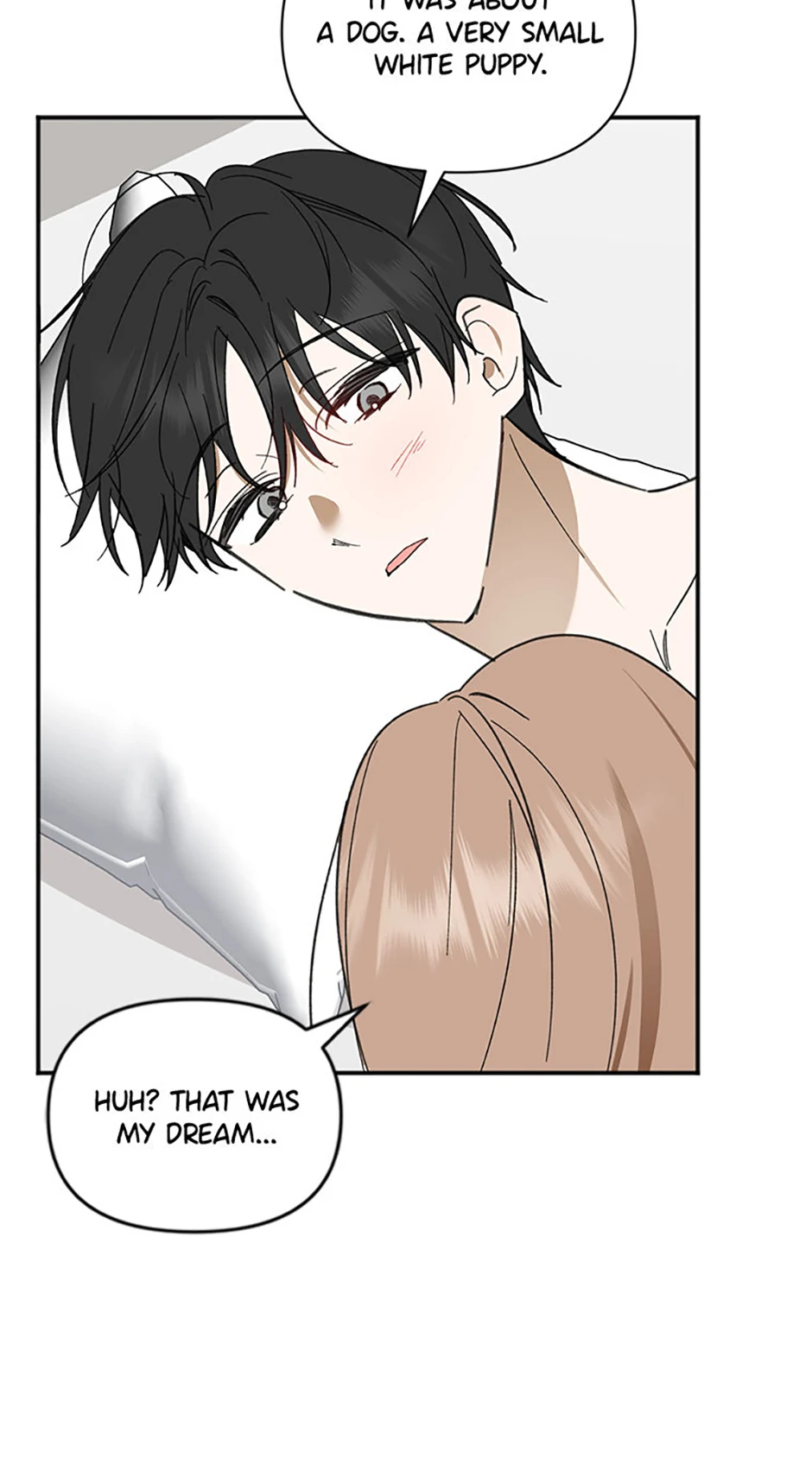 Ideal Match Delivery Service Chapter 72 421 096