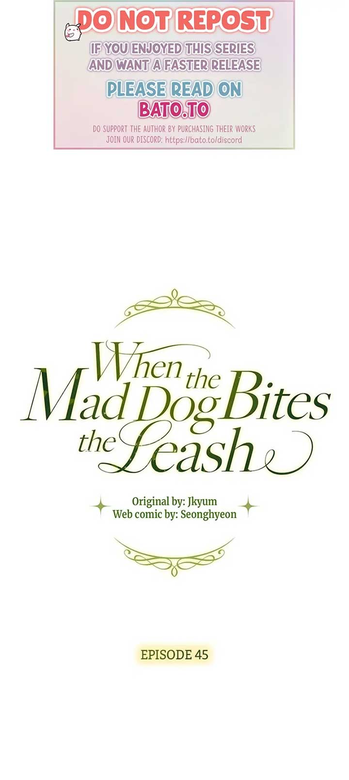 If a Mad Dog Bites a Cub Chapter 45 158 01