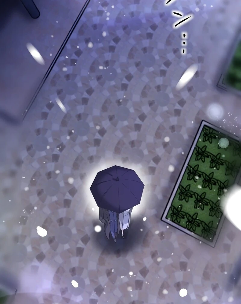 If a Second Marriage Can Save You Chapter 2 468 ch 2 56