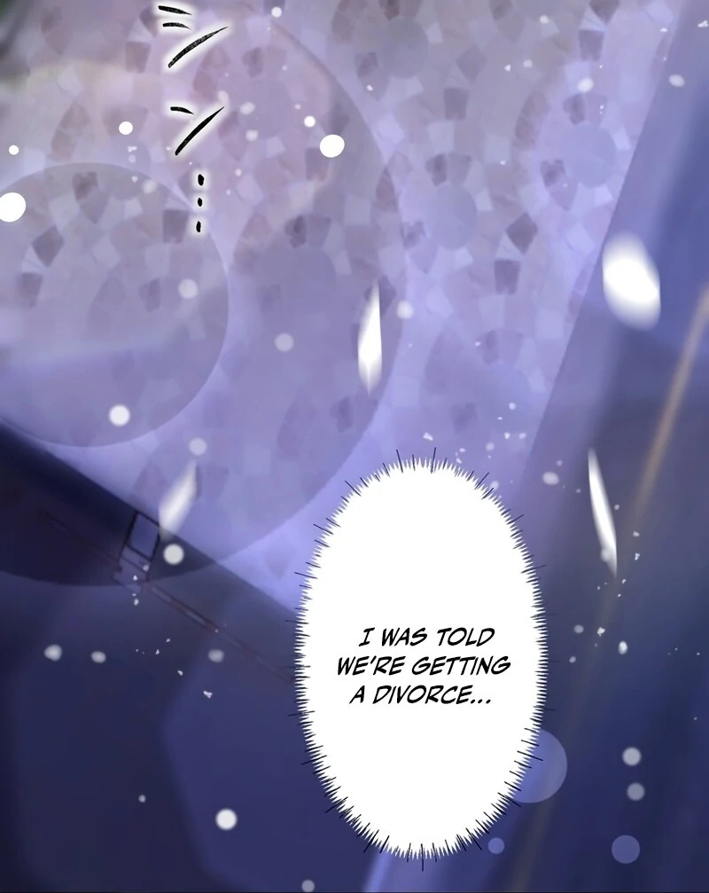 If a Second Marriage Can Save You Chapter 2 469 ch 2 57