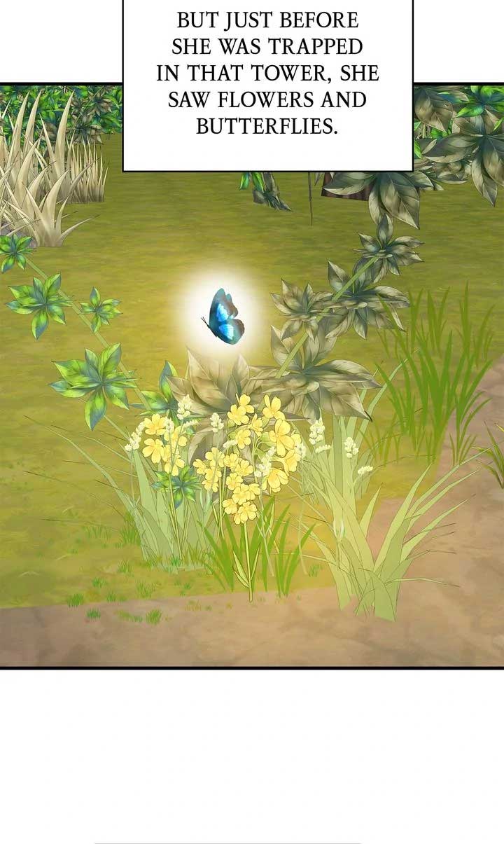 If You Want a Fake Sister Chapter 79 337 ch 79 78