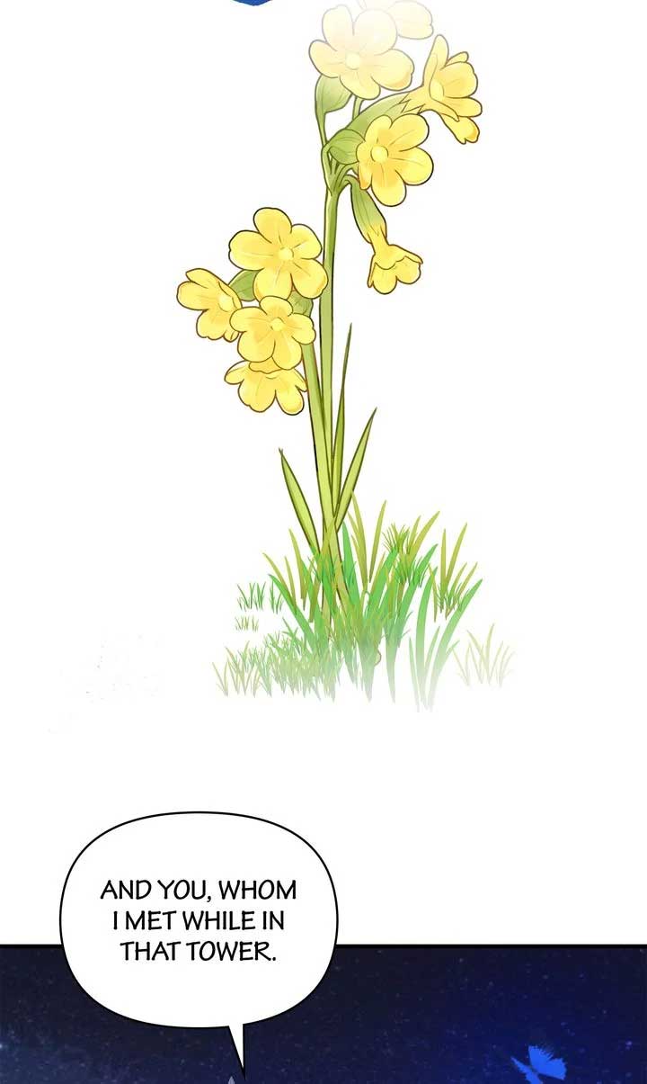 If You Want a Fake Sister Chapter 79 340 ch 79 81