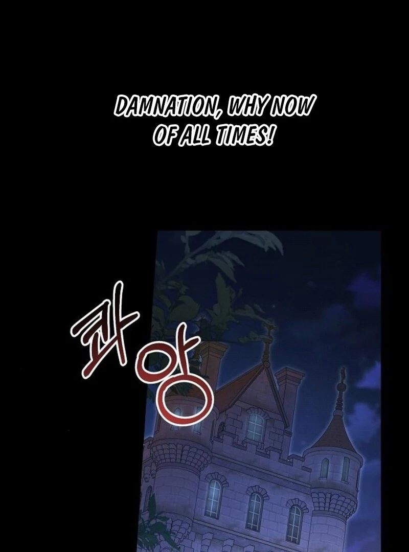 I’ll Take On This Marriage In This Life Chapter 44 480 020