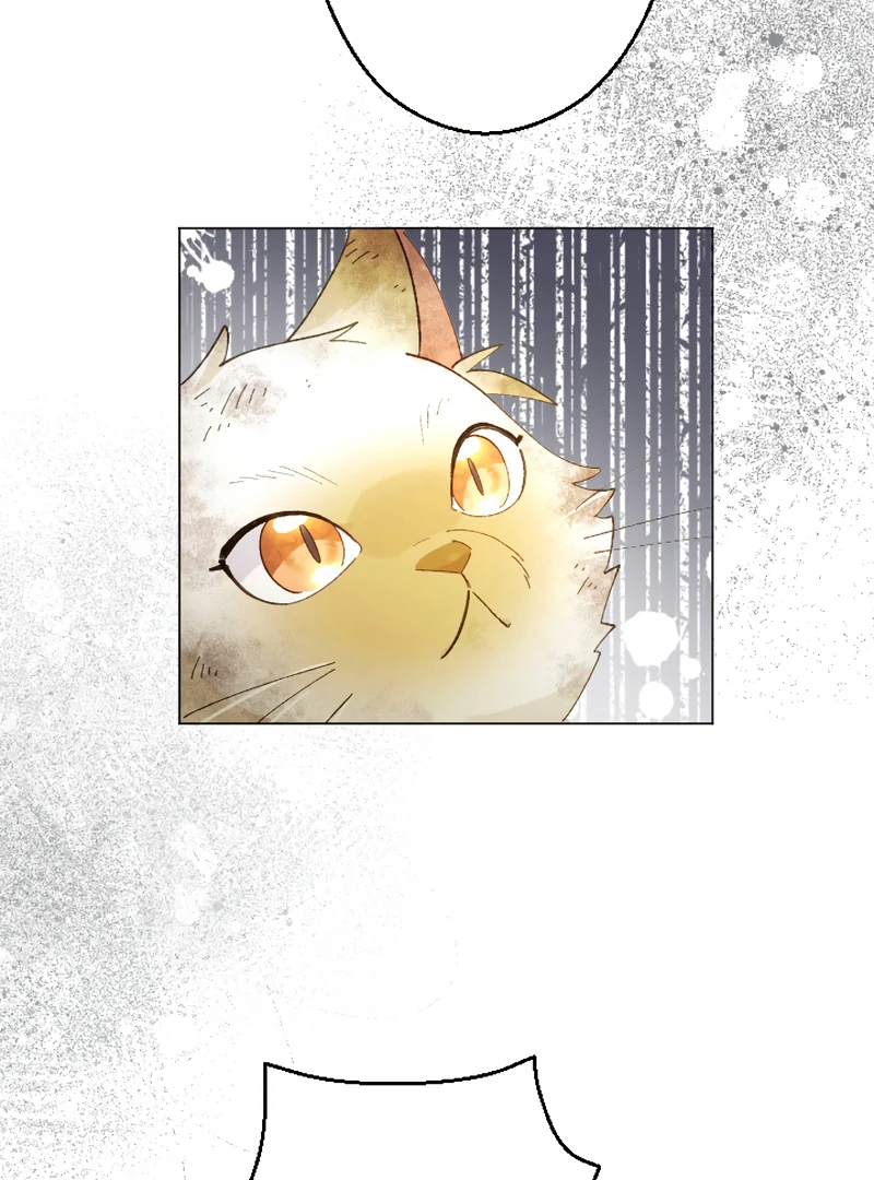 I’m Not Dead For Nothing Chapter 15 519 056