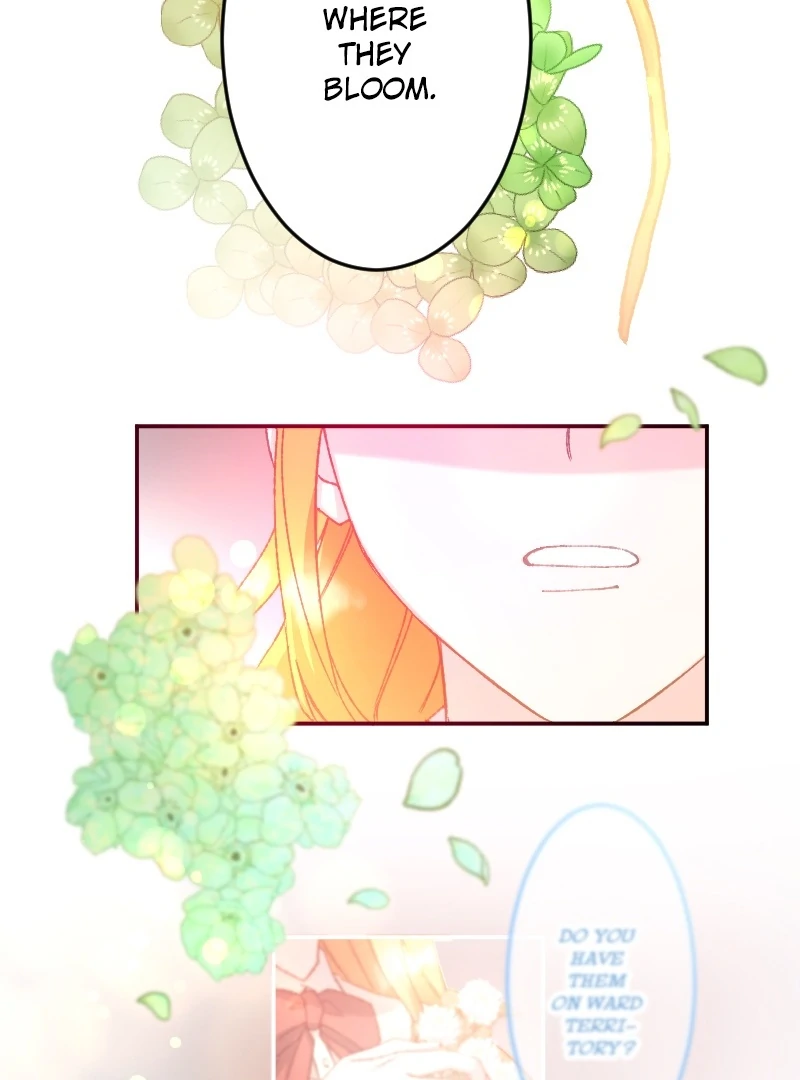 I’m Pregnant, But I Won’t Marry Without Love Chapter 15 378 ch 15 56