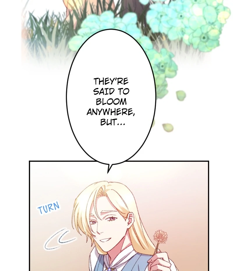 I’m Pregnant, But I Won’t Marry Without Love Chapter 15 381 ch 15 59